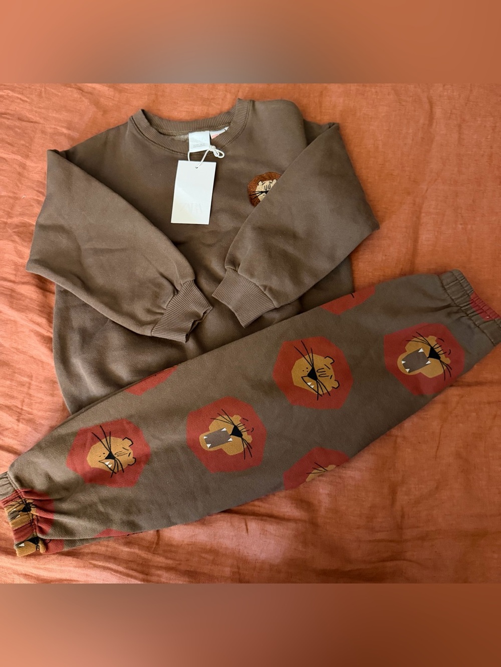 Zara | Brown Kids Matching Set with Red Lion Motif
